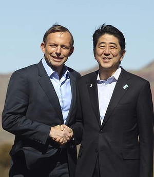 Prime Minister Tony Abbott and Japanese Prime Minister Shinzo Abe dismissed concern about whaling in the Southern Ocean. Photo: Gary Ramage